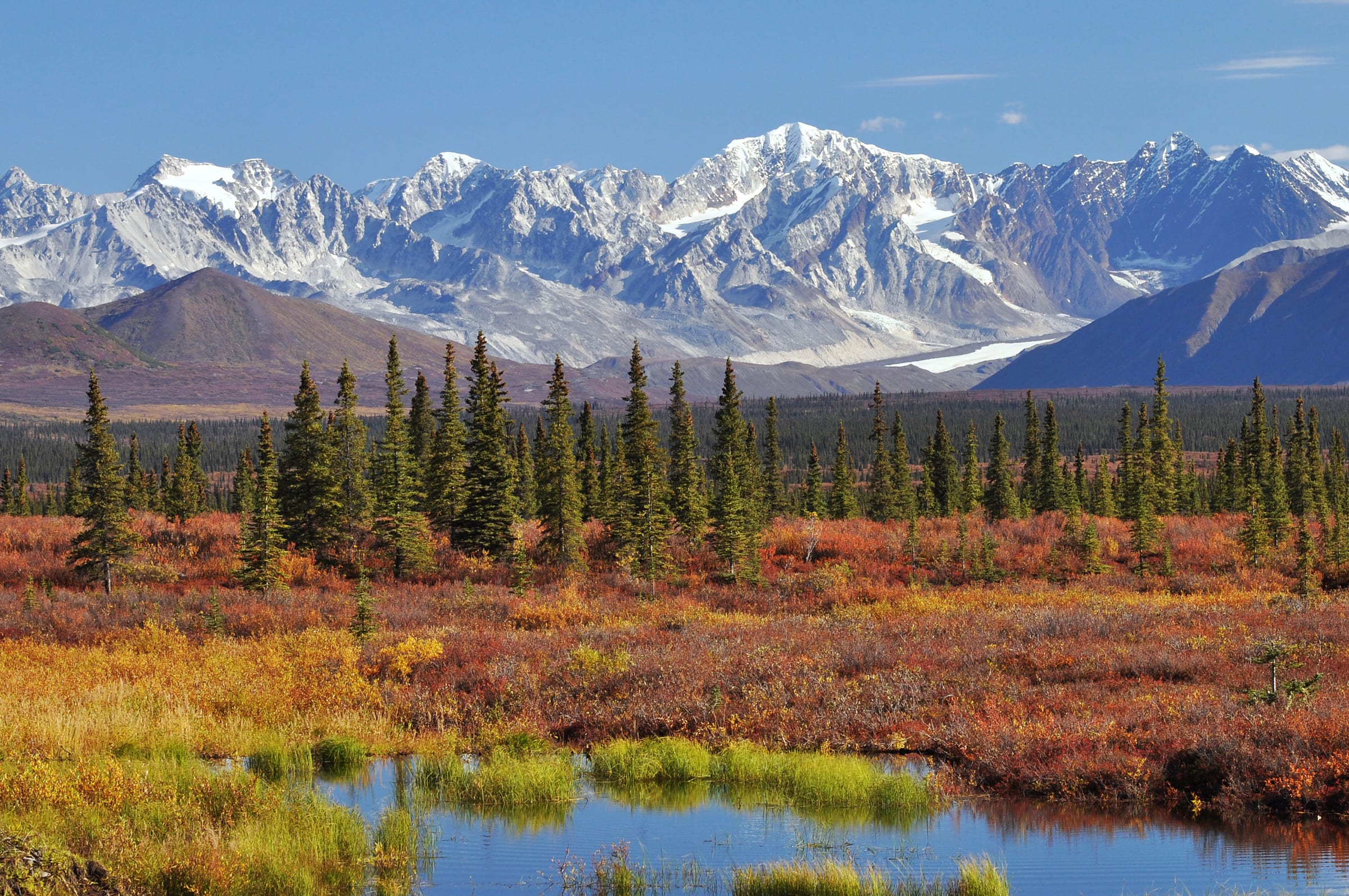 Grass and picked corn under a high plains sky, Alaska