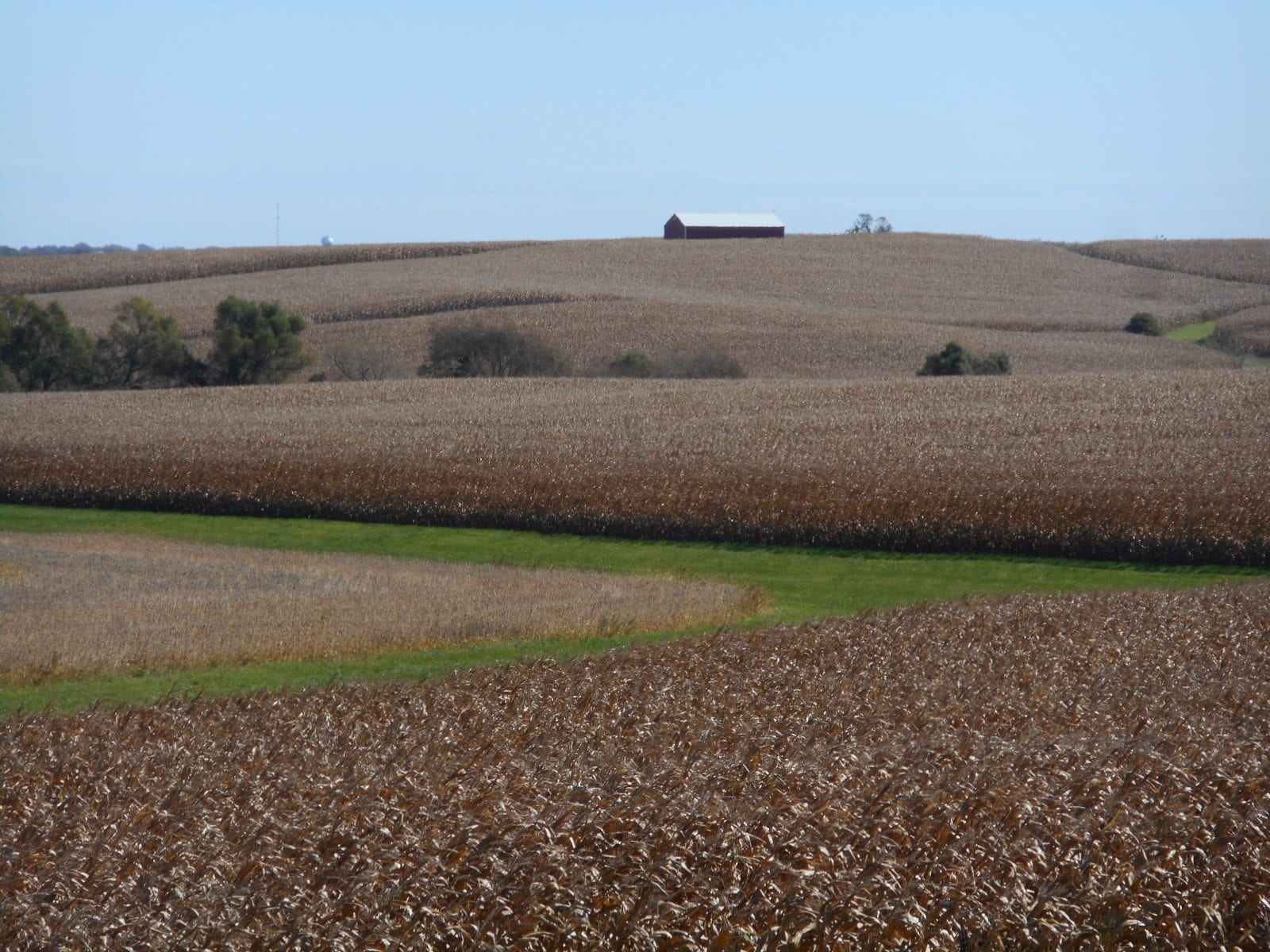 Grass and picked corn under a high plains sky, Iowa