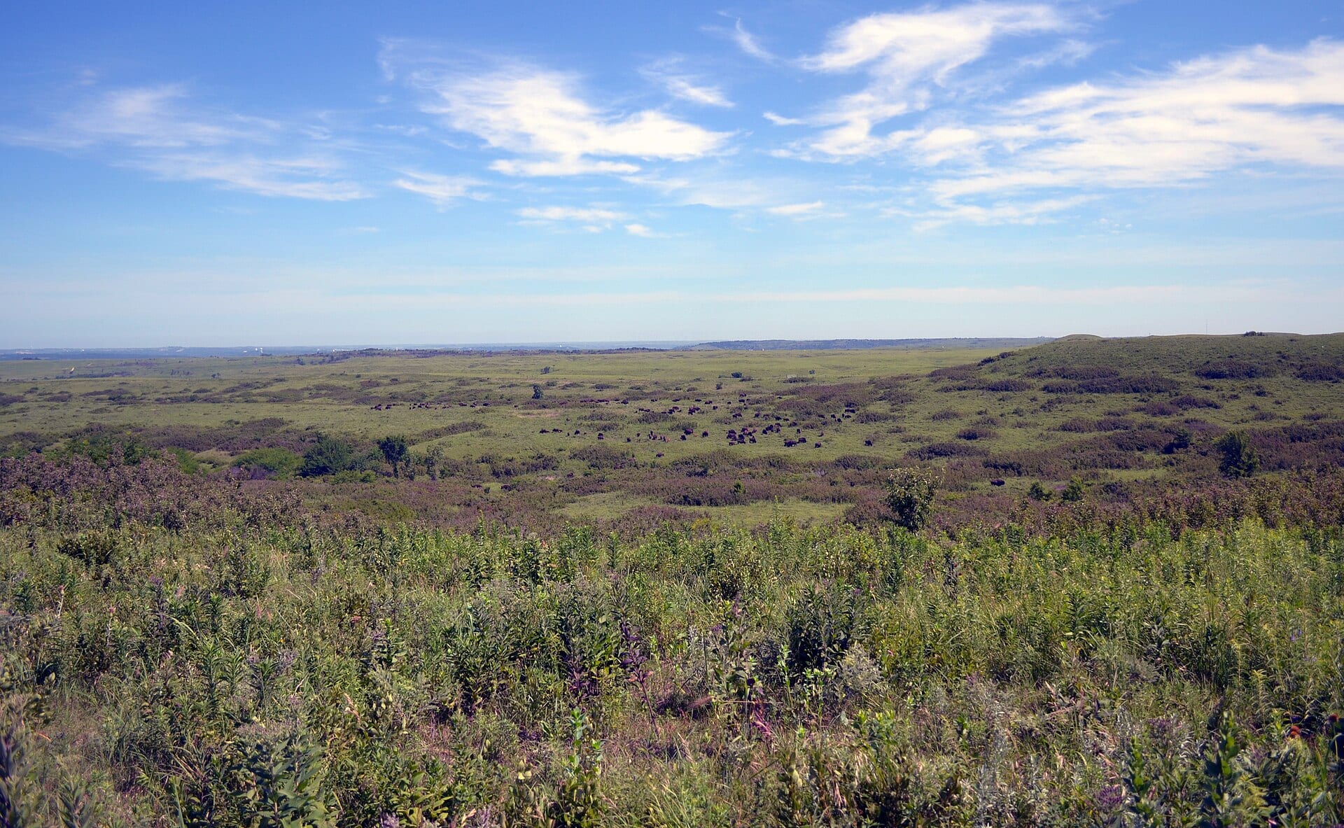 Flint Hills prairie, Kansas