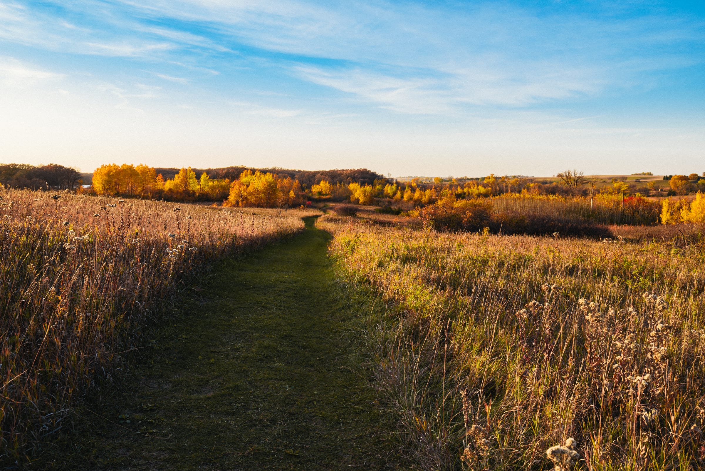 High Peak hiking trail at Glacial Lakes State Park showing upland grassland and prairie habitat with golden autumn foliage, deciduous woodland corridors, and native grasses—ideal upland game bird habitat.