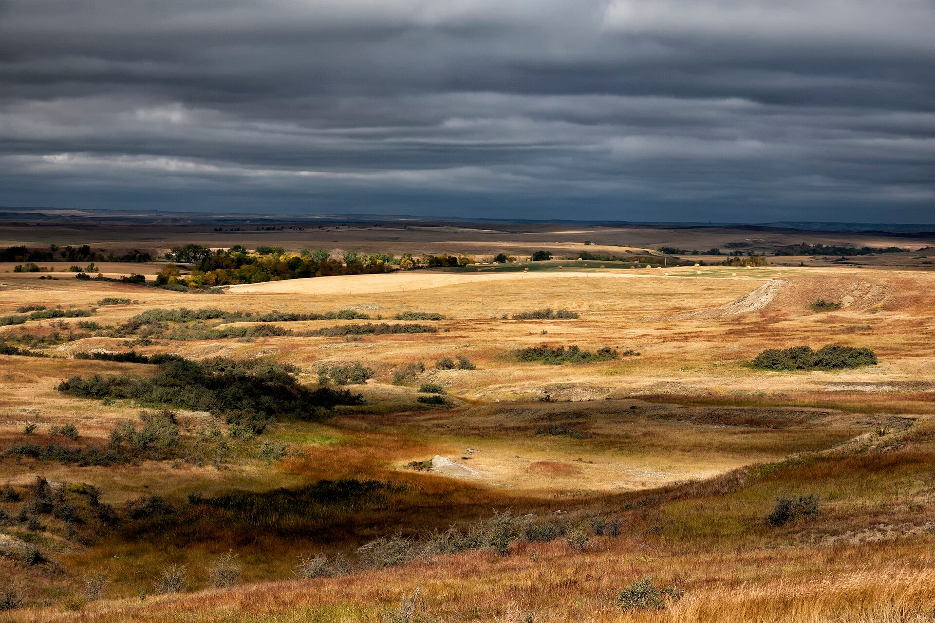 Grass and picked corn under a high plains sky, North Dakota