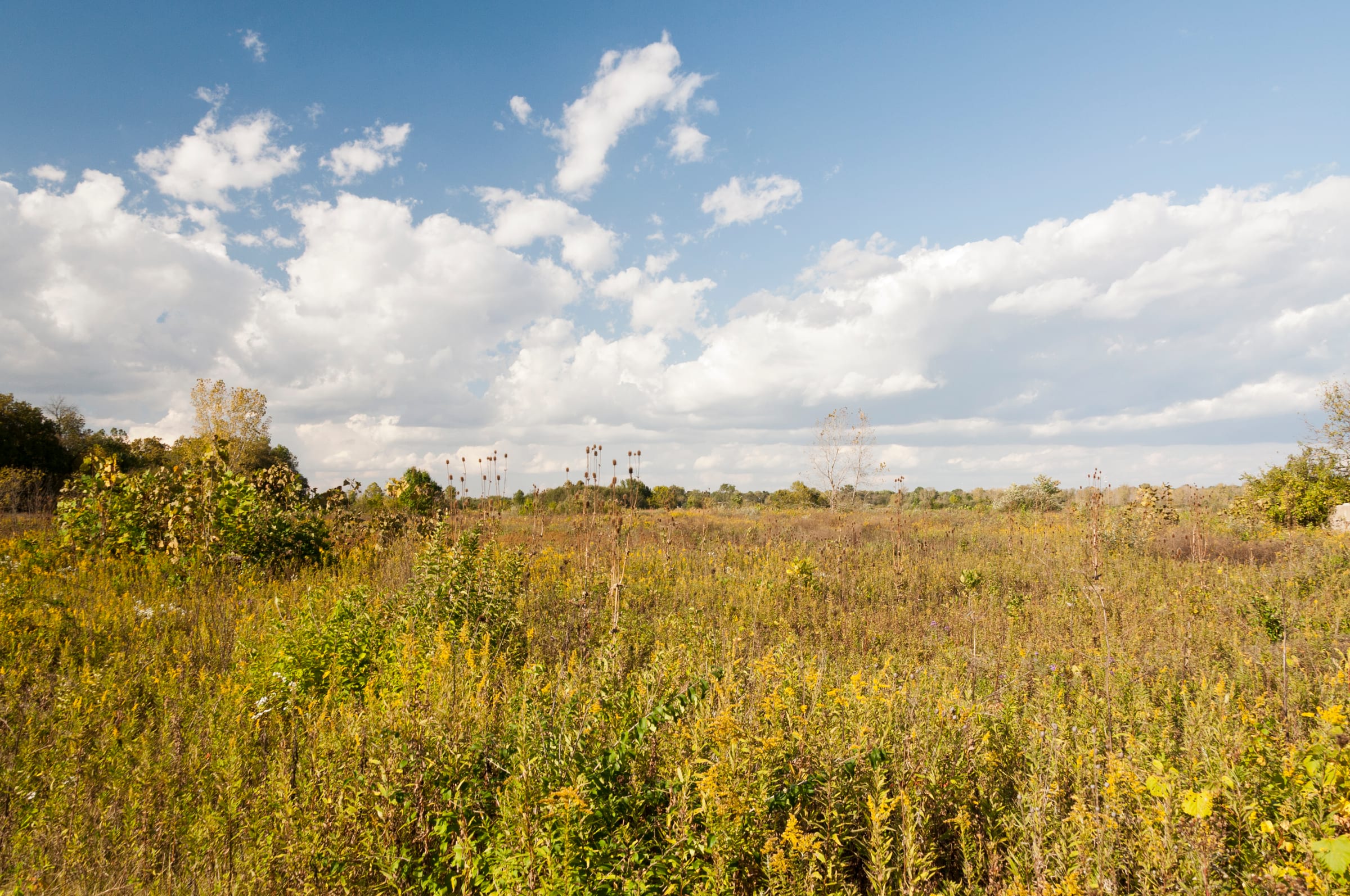 Grass and picked corn under a high plains sky, Ohio